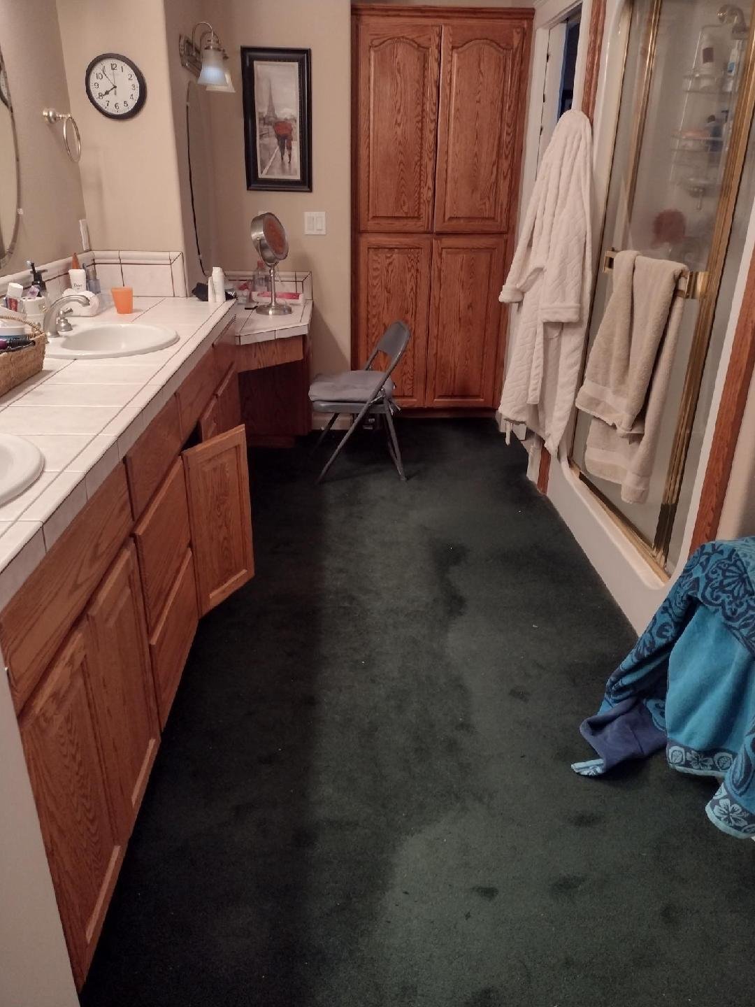 Bathroom vanity and shower before renovation