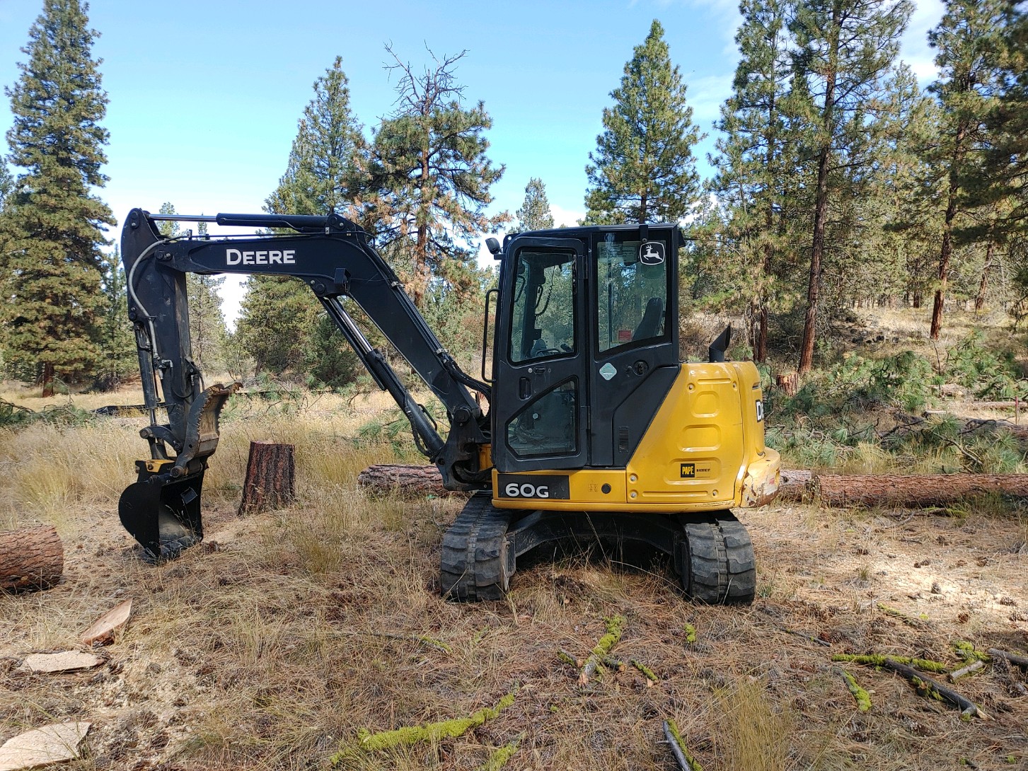 Excavator supporting tree and land clearing in a wooded area